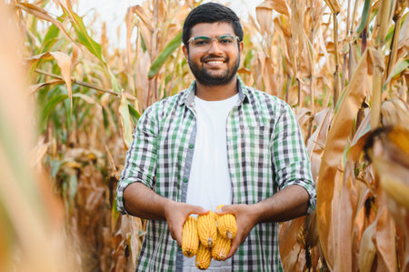 South Asian agronomist farmer inspecting corn field farm. Agriculture production concept.の写真素材
