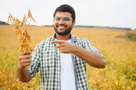 An Indian farmer in a soybean field.の写真素材