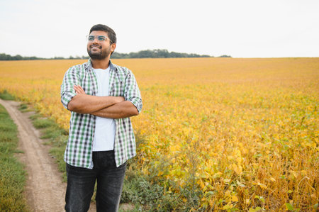 The concept of agriculture. An Indian farmer or agronomist inspects the soybean crop in a field.の写真素材