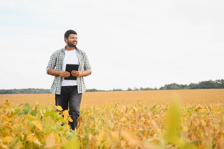 An Indian farmer or agronomist examines the soybean crop in a field.