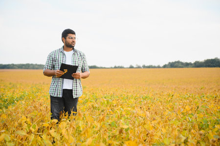 The concept of agriculture. An Indian farmer or agronomist inspects the soybean crop in a field.