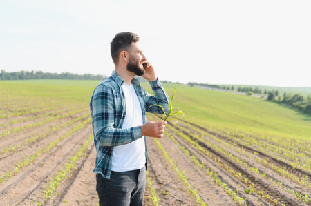 Agronomist examining corn sprout and making a phone call in a field, discussing growth and planning...