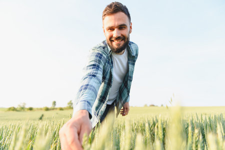 Smiling farmer examining wheat stalks in cultivated field, ensuring healthy growth before harvest seasonの写真素材