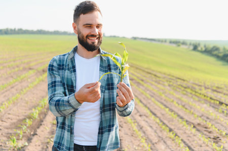 Smiling agronomist holding and examining corn sprout in cultivated field, satisfied with plant...