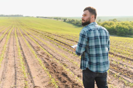 Agronomist walking through a vibrant corn field, holding a clipboard and carefully inspecting the...