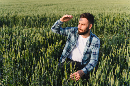 Young agronomist checking the growth of green wheat, shielding his eyes from the setting sun in...