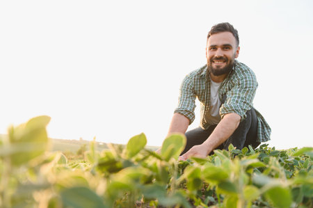 Young agronomist inspecting soybean crops in a lush field during a vibrant sunset, embodying the...