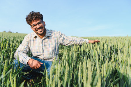 Happy agronomist inspecting and gently touching wheat ears in a vast green field under the warm sun, enjoying the beauty of natureの写真素材