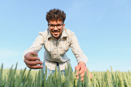 Agronomist examining the growth of young wheat plants in a field, ensuring healthy development and a...