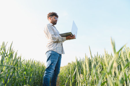 Agronomist using laptop in wheat field, implementing modern technology for efficient crop growth and sustainable agriculture practicesの写真素材