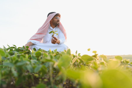 Arab farmer checks the growth of soybean plants in a cultivated field, demonstrating agricultural...