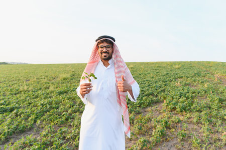 Arab farmer holds a soybean plant and gives a thumbs up, expressing satisfaction with the healthy...