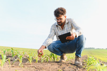 Agronomist using digital tablet and inspecting corn seedlings in cultivated field, implementing modern agricultural technologiesの写真素材