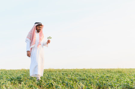 Arab farmer walks through a soybean field, examining a healthy plant, showing agricultural expertise and sustainable farming practicesの写真素材