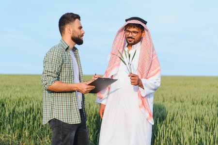 Agronomist writing on clipboard while discussing with an arab farmer holding wheat stalks in a large green fieldの写真素材