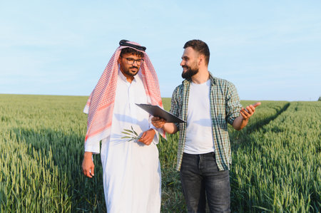 Arab businessman and a farmer are walking and discussing in a wheat field, holding a clipboard and some wheat stalksの写真素材