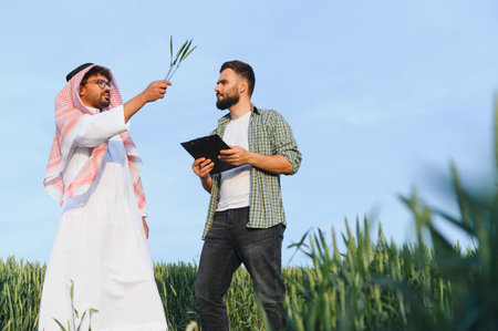 Arab businessman shows a wheat crop to an agronomist taking notes on a clipboard in a cultivated...