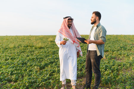 Arab businessman and an agronomist are discussing crops in a cultivated field, showcasing collaboration in agribusinessの写真素材