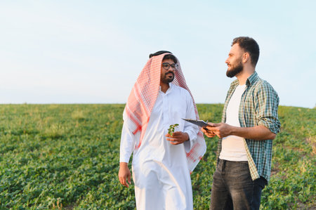Agronomist holding clipboard showing crop to arab businessman in cultivated field during a sunny dayの写真素材
