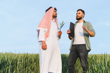 Arab businessman and an agronomist are discussing and analyzing wheat samples in a field, showcasing international agribusiness collaborationの写真素材
