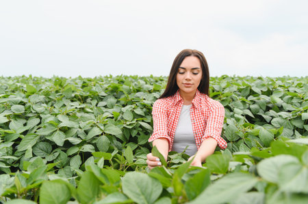 Woman in a vibrant soybean field, carefully tending to plants, showcasing sustainable agriculture and dedication to farming practicesの写真素材