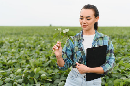 Agronomist holding a clipboard while inspecting soybean crops for signs of growth and disease in a rural farming fieldの写真素材