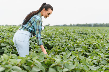 Young agronomist examining and analyzing cultivated soybean plants in a vibrant agricultural field,...