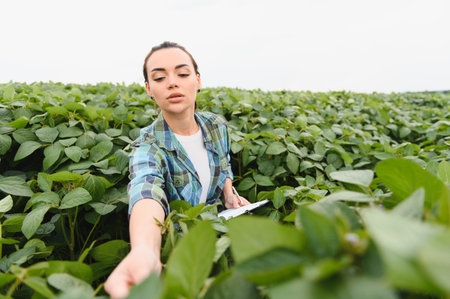 Female agronomist inspecting soybean plants and taking notes on clipboard, ensuring healthy growth and maximizing yield in agricultural fieldの写真素材