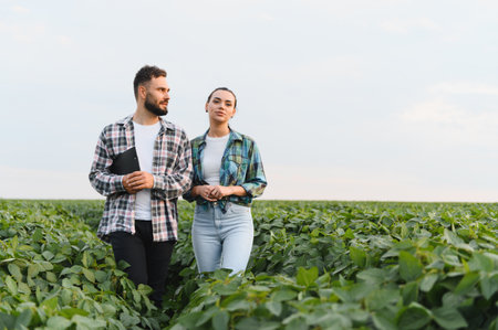 Two farmers walking through a lush soybean field, discussing the crop's growth while inspecting the vibrant plants and leavesの写真素材