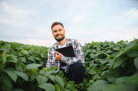 Agronomist crouching in a lush soybean field, holding a clipboard while carefully inspecting and analyzing the healthy crops for qualityの写真素材