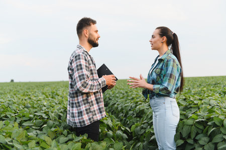 Two farmers engaging in a business discussion in a lush soybean field, one reviewing notes on a clipboard while strategizing for growthの写真素材