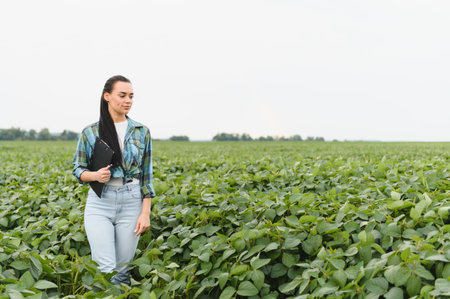 Female agronomist holding clipboard is walking and inspecting growth of cultivated soybean plants in agricultural fieldの写真素材