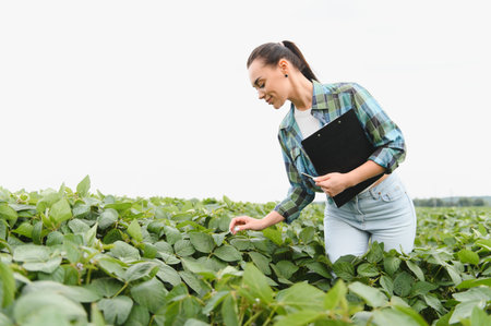 Female agronomist holding clipboard inspecting soybean plants in cultivated field, performing...