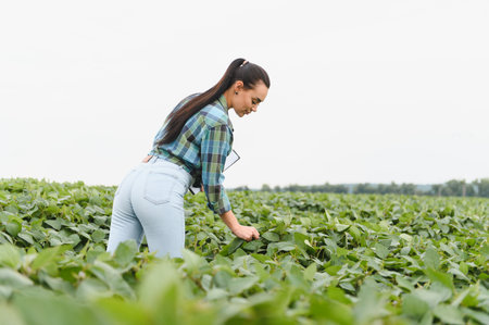 Female agronomist inspecting crops for growth and disease, promoting sustainable agriculture and food productionの写真素材