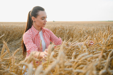 Young woman farmer gently touching ripe wheat ears in a golden field at sunset, checking the quality...