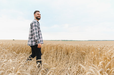 Young farmer walking through cultivated golden wheat field, checking crops before harvest, enjoying...