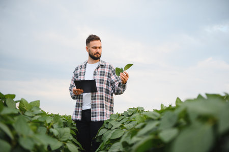 Agronomist holding clipboard and inspecting soybean plant leaves, performing quality control in agricultural fieldの写真素材