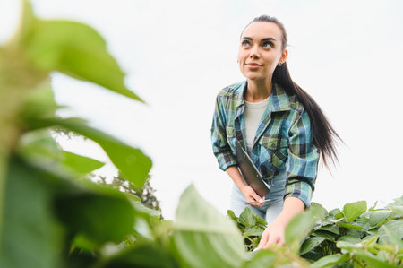 Young female agricultural engineer examining the growth of soybean plants in a field, holding a clipboard and pen, demonstrating sustainable agriculture practicesの写真素材