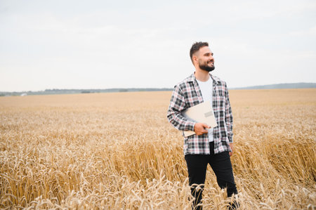 Farmer analyzing wheat stalks with laptop enjoying agricultural growth and planning future harvestの写真素材