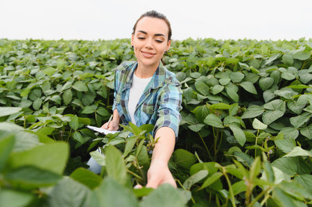 Smiling female agronomist examining soybean crops in a lush field while diligently writing notes on a clipboard for analysisの写真素材