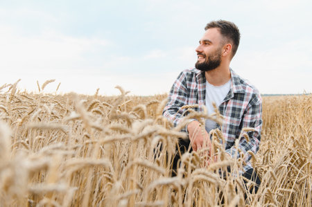 Smiling farmer in a plaid shirt kneeling in a golden wheat field, enjoying the serene landscape under a clear blue skyの写真素材