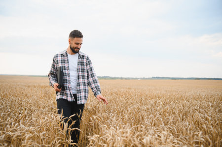 Farmer carrying a laptop gently while touching wheat stalks in a golden field, monitoring crop health under the bright summer skyの写真素材