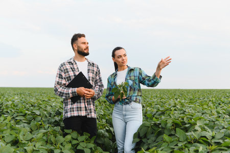 Two farmers are standing in a soybean field, discussing the growth and potential harvest, showing...