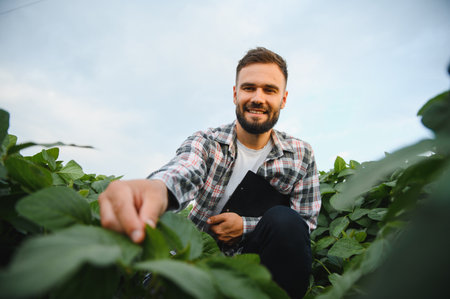Agronomist holding clipboard inspecting soy plants in a cultivated field, ensuring healthy growth and maximizing yieldの写真素材