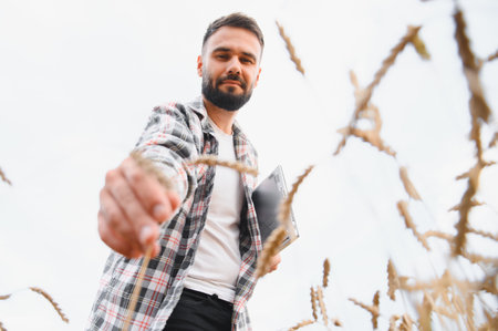 Farmer holding a laptop while inspecting wheat stalks in a sunlit field, blending traditional...