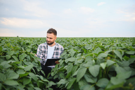 Agronomist taking notes while inspecting the health of soy plants in a vast agricultural field,...