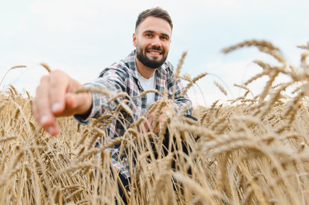 Smiling farmer touching ripe wheat ears in a golden field, checking the quality of his harvest under a clear skyの写真素材