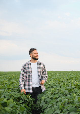 Agronomist walking through a lush soybean field, holding a tablet while examining plant growth and smiling at the thriving cropsの写真素材