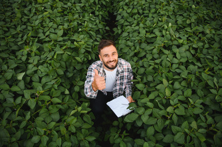 Agronomist crouching in a soy field, holding a clipboard and making a thumbs up gesture, indicating a healthy and thriving cropの写真素材