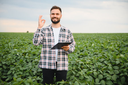 Happy agronomist holding clipboard and gesturing ok sign while standing in cultivated soybean fieldの写真素材